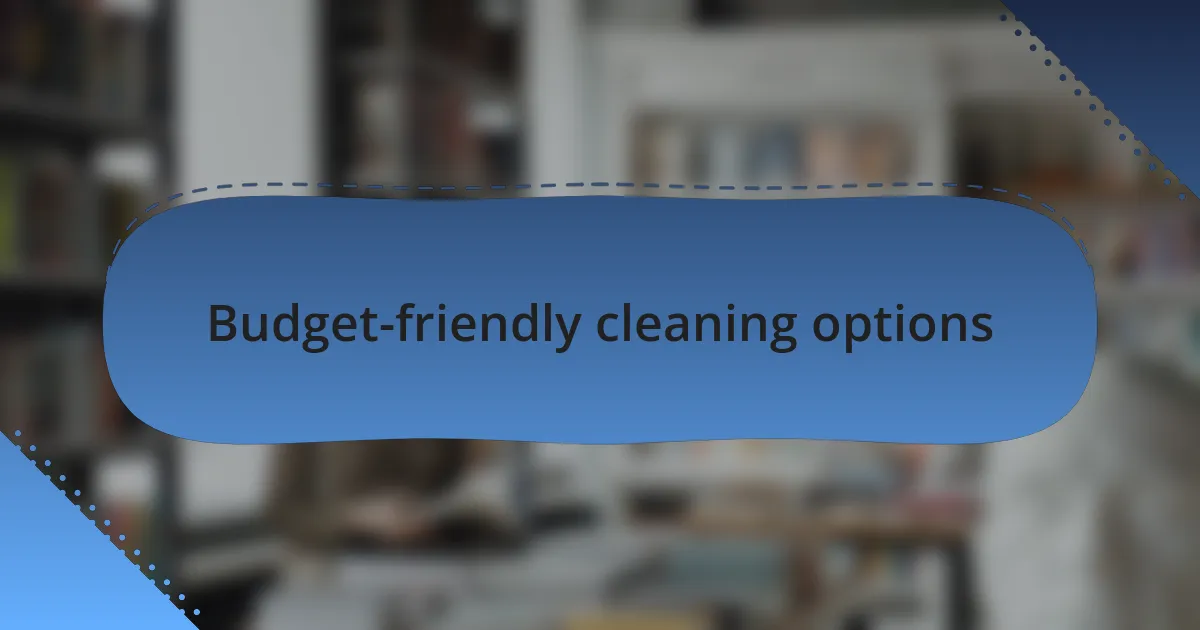 Budget-friendly cleaning options