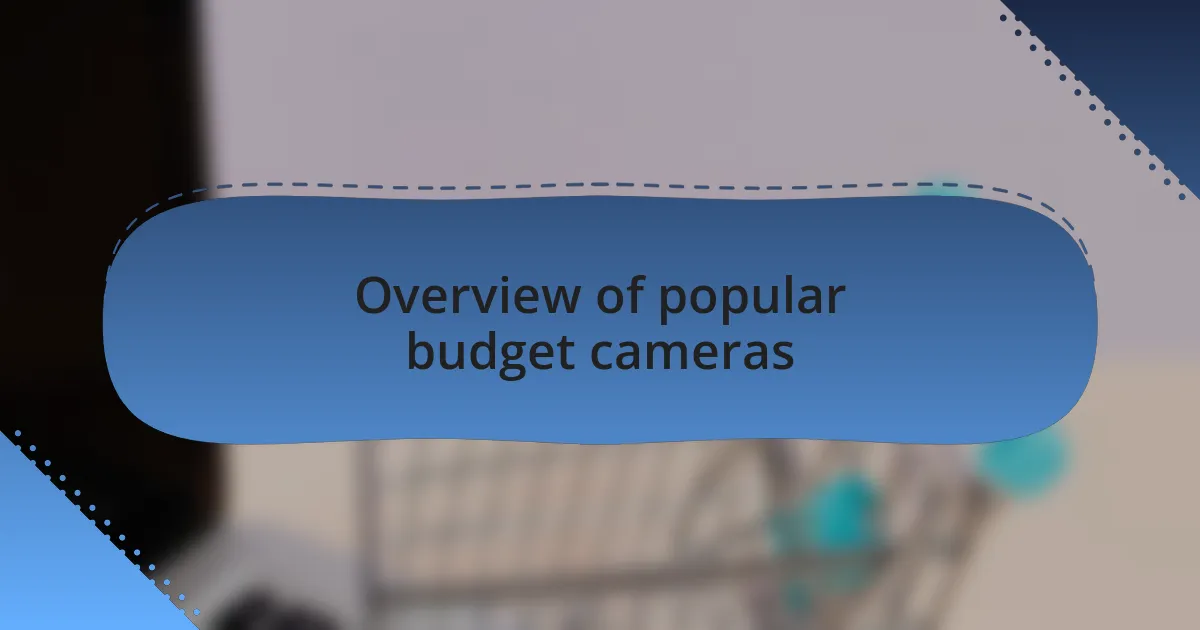 Overview of popular budget cameras